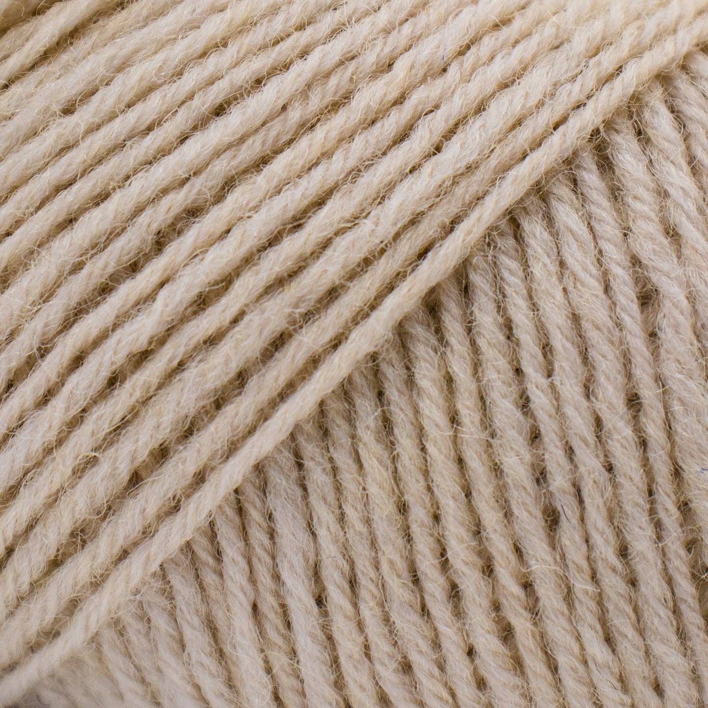 Luca-S WoolenWalk Yarn in 5 Color Options