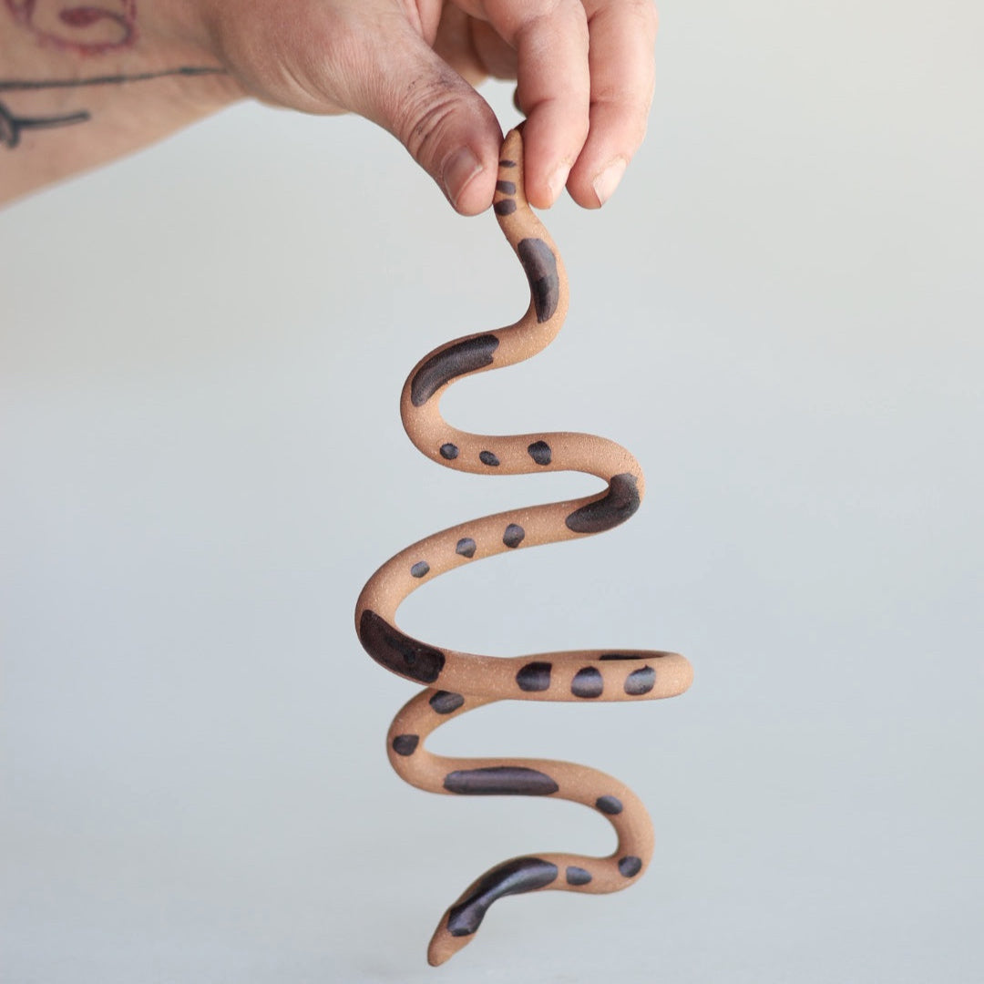 Wall Snake - Year of the Snake