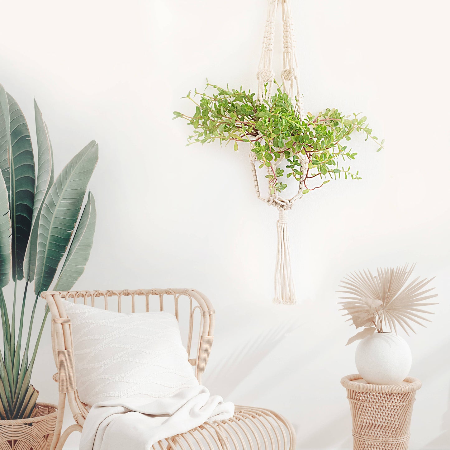 Macrame plant holder