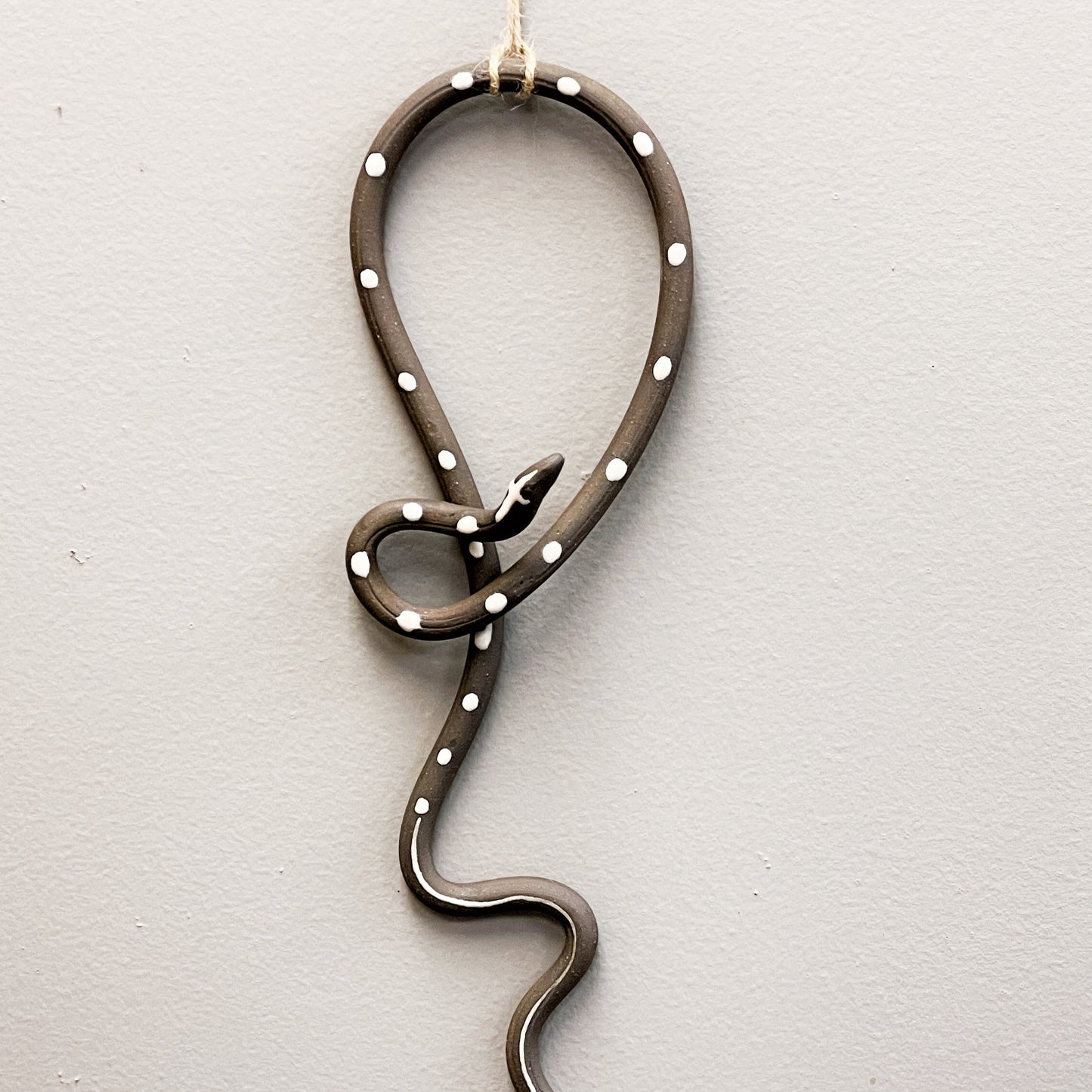 Wall Snake - Year of the Snake