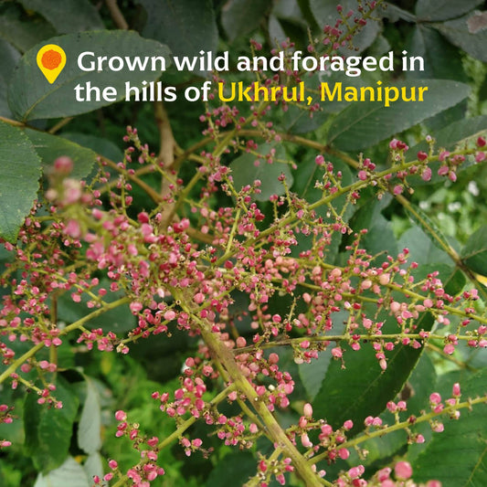 Wild Heimang Sumac (Powder) - Single-Origin Spice