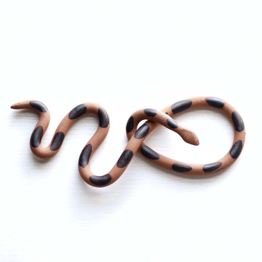 Wall Snake - Year of the Snake