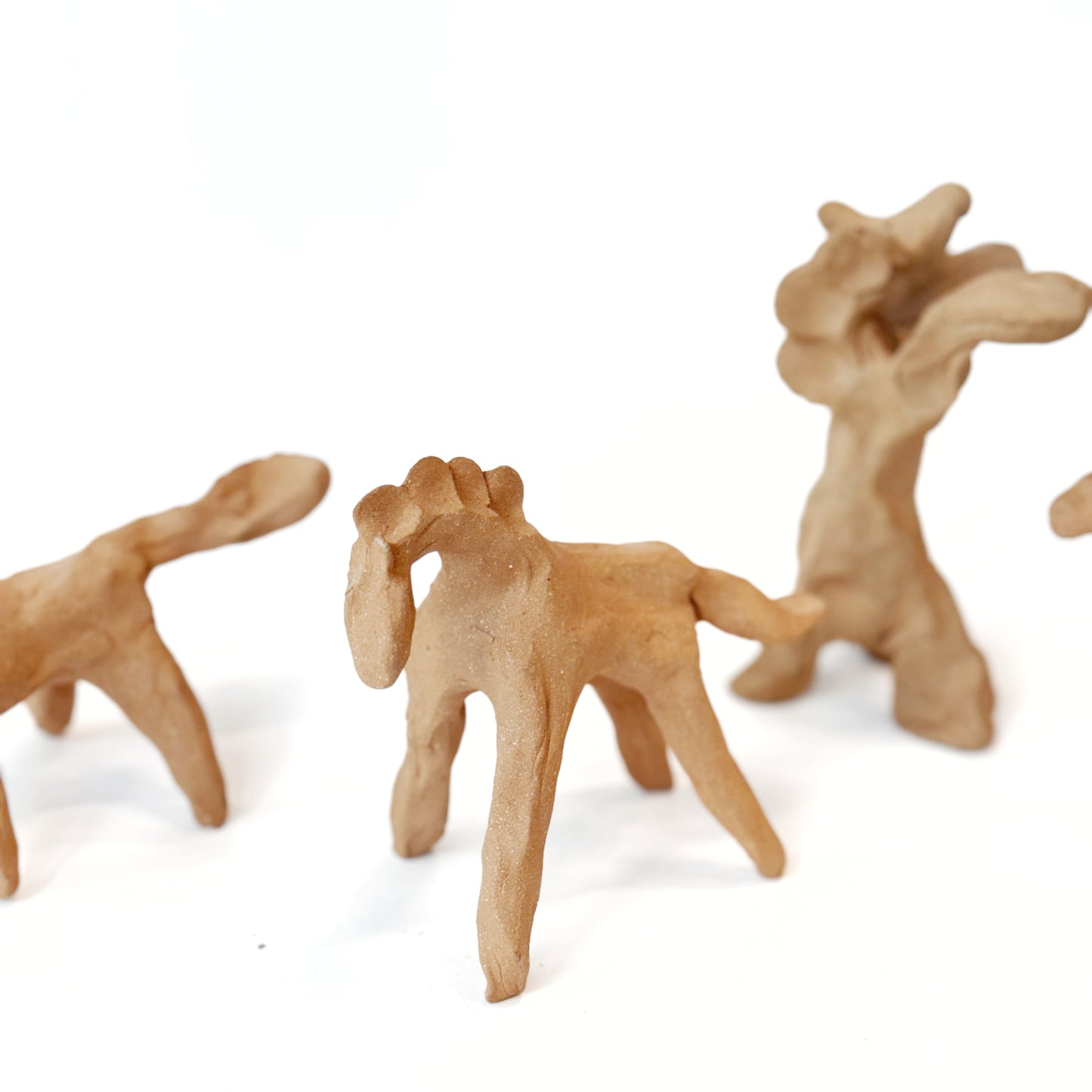Josie's Horses
