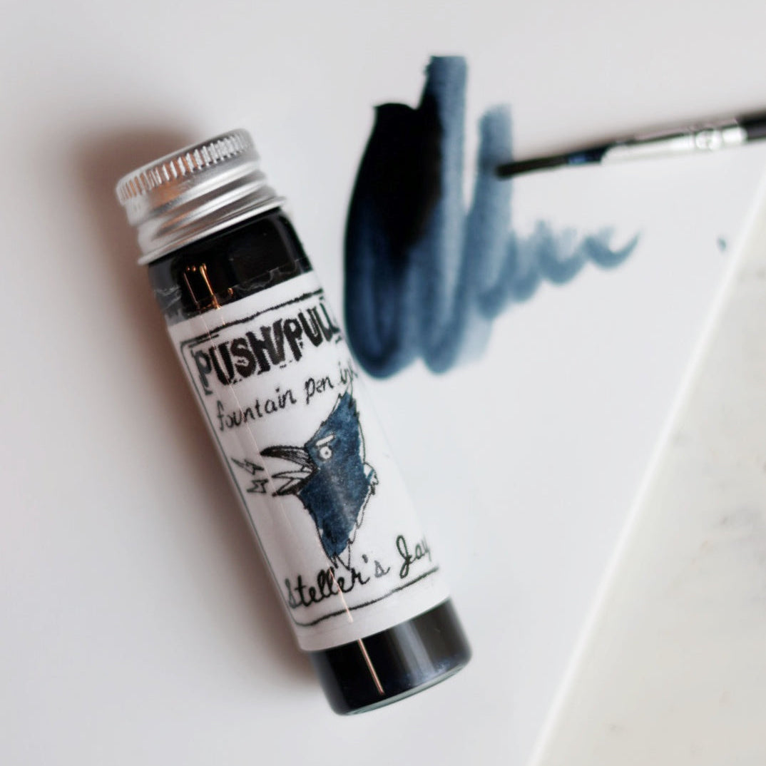 Fountain Pen Ink - Steller's Jay