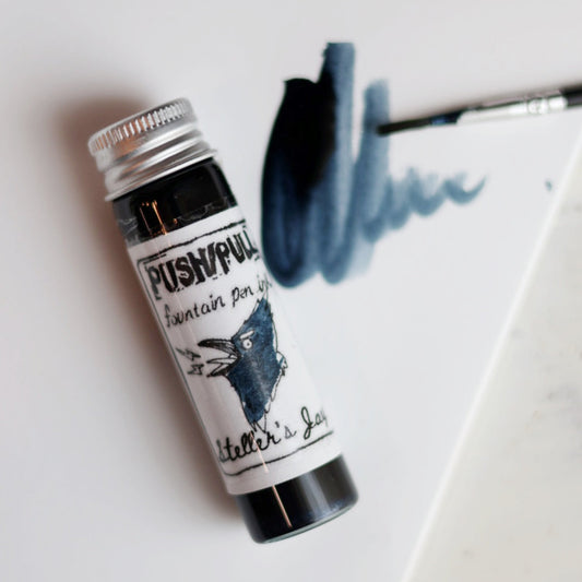 Fountain Pen Ink - Steller's Jay