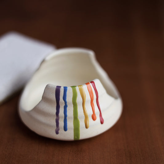 Rainbow Sponge Holder