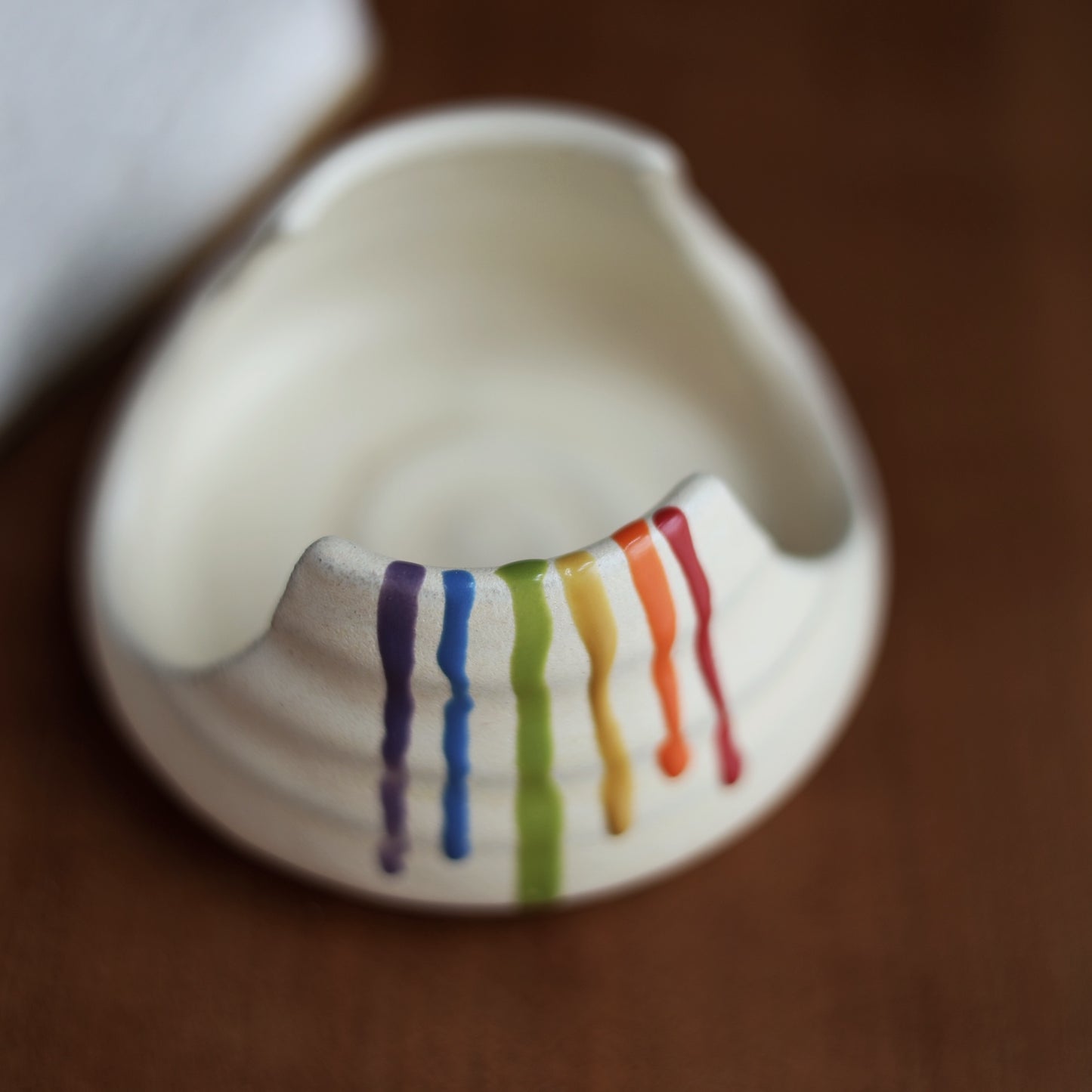 Rainbow Sponge Holder
