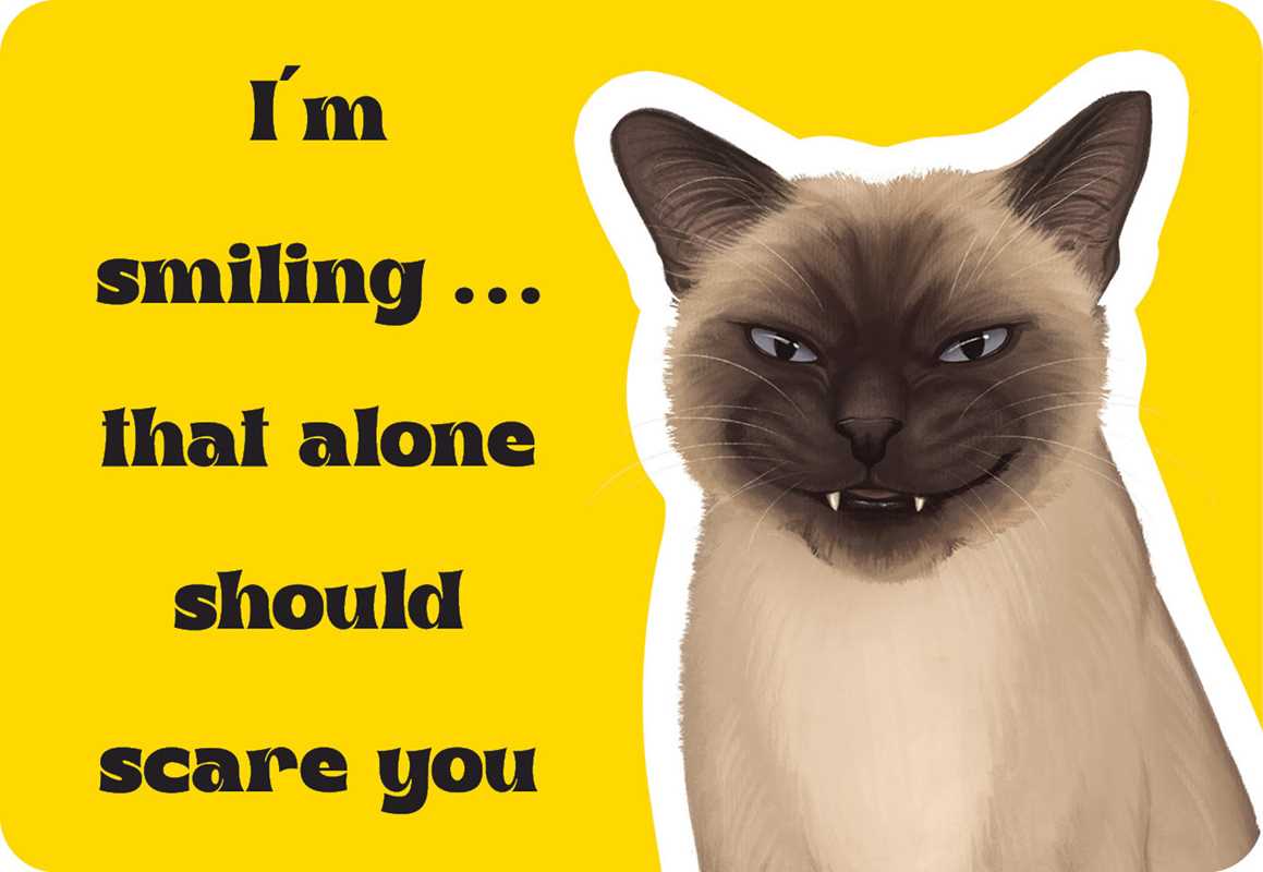 Cattitude by Rockpool Publishing: Flashcards; 24 pages / English