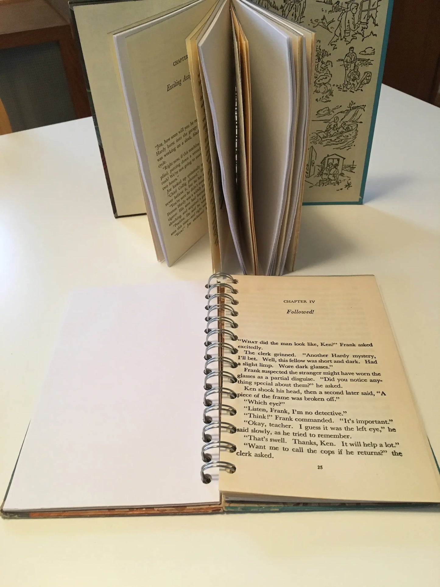 Upcycled Nancy Drew, Bobbsey, Tom Swift, Hardy Boy Journals: Nancy Drew