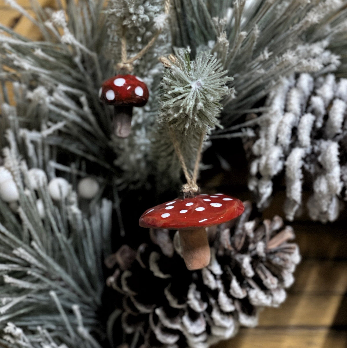 Handmade ceramics RED MUSHROOM kettle – The 24ᵗʰ