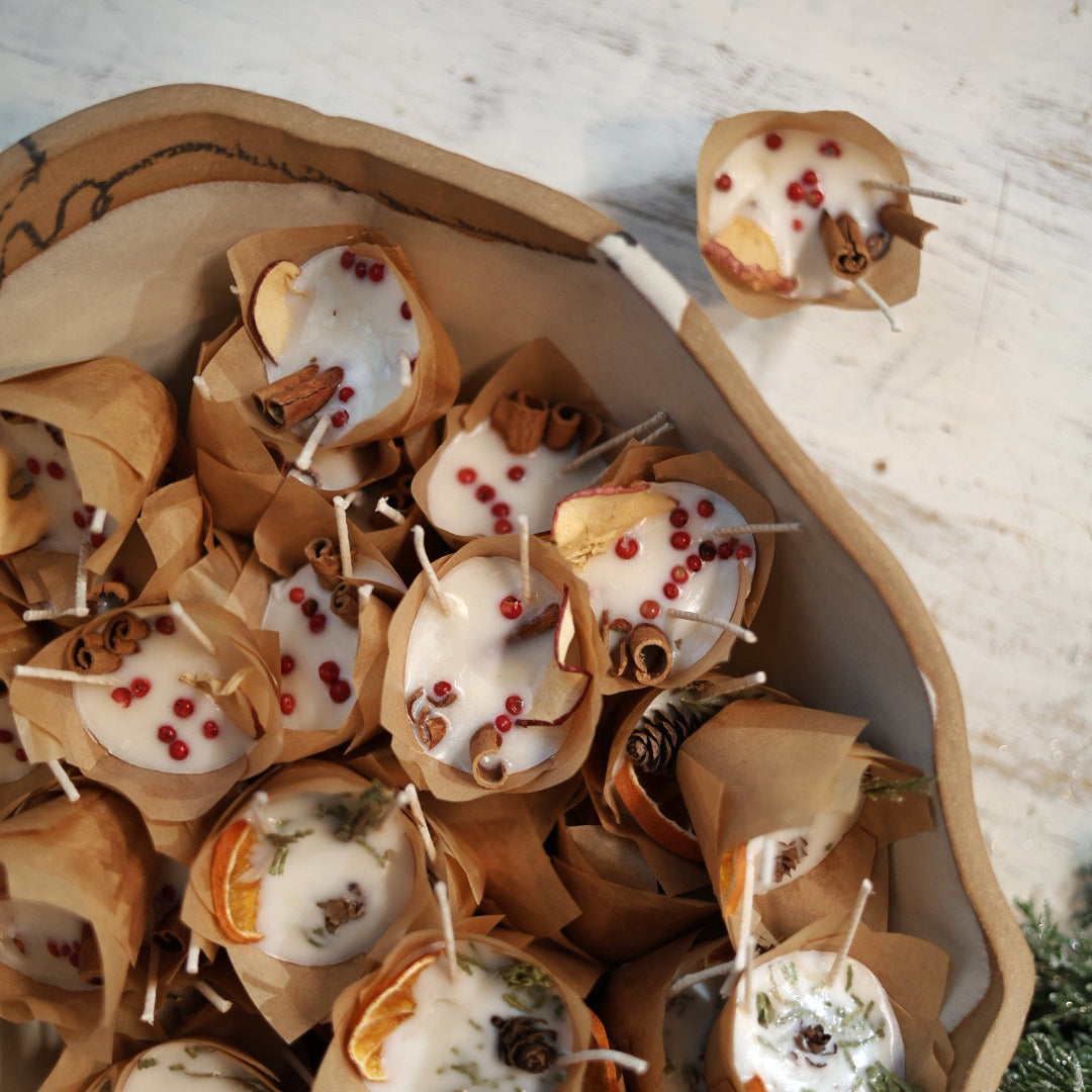 Cozy Chaos Holiday Home Collection