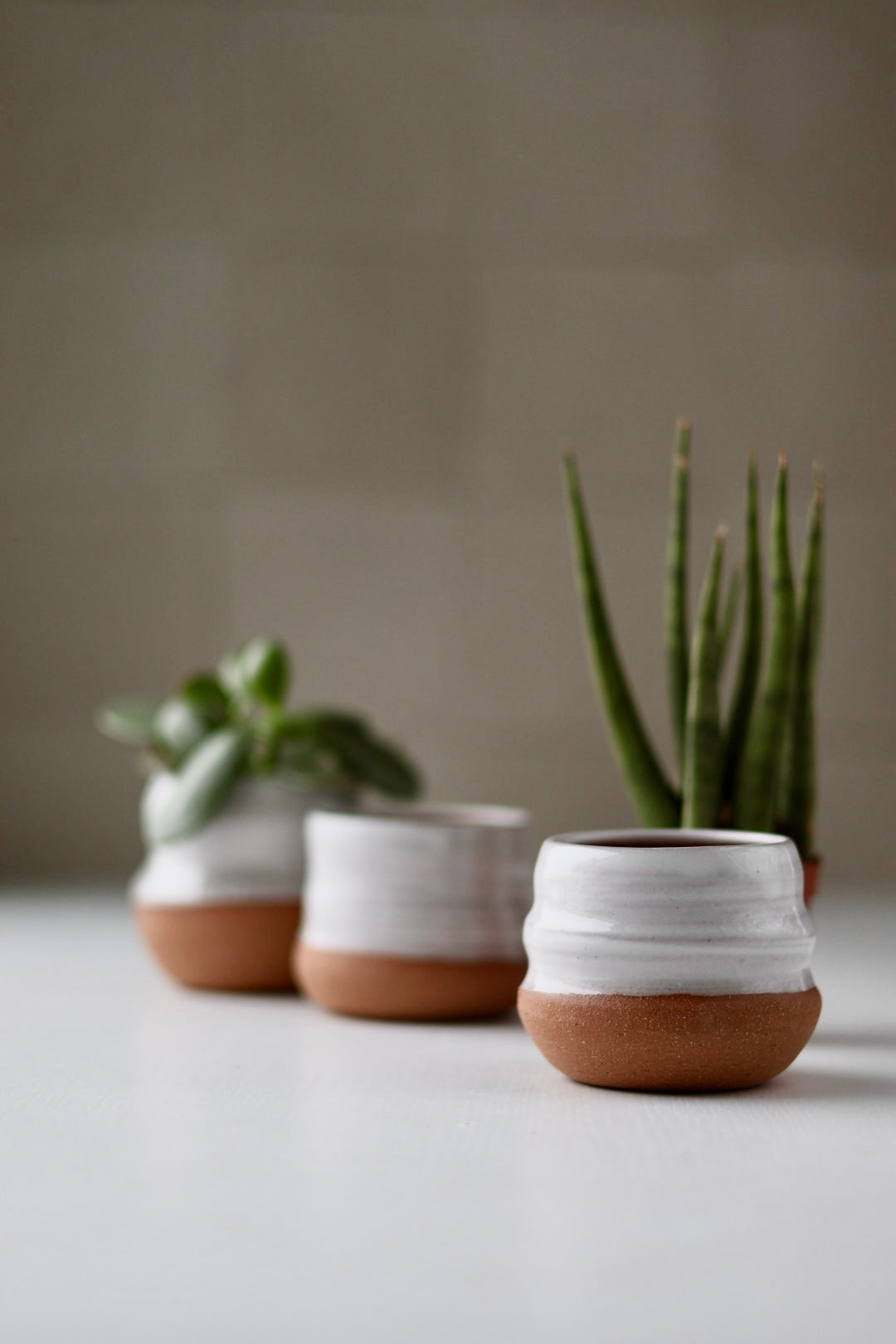 Artist Choice Small Planter in White
