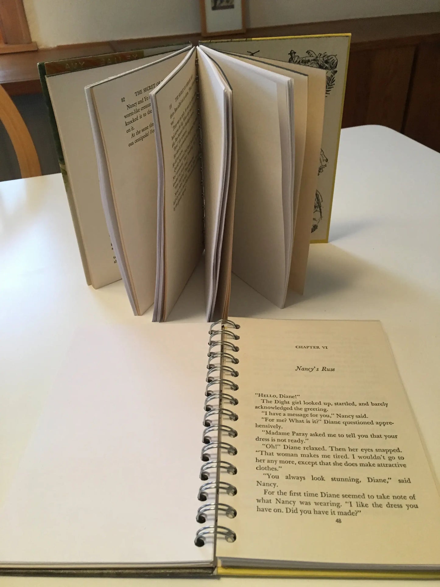 Upcycled Nancy Drew, Bobbsey, Tom Swift, Hardy Boy Journals: Nancy Drew