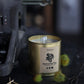 Immortal Fig Candle in Gold Tin