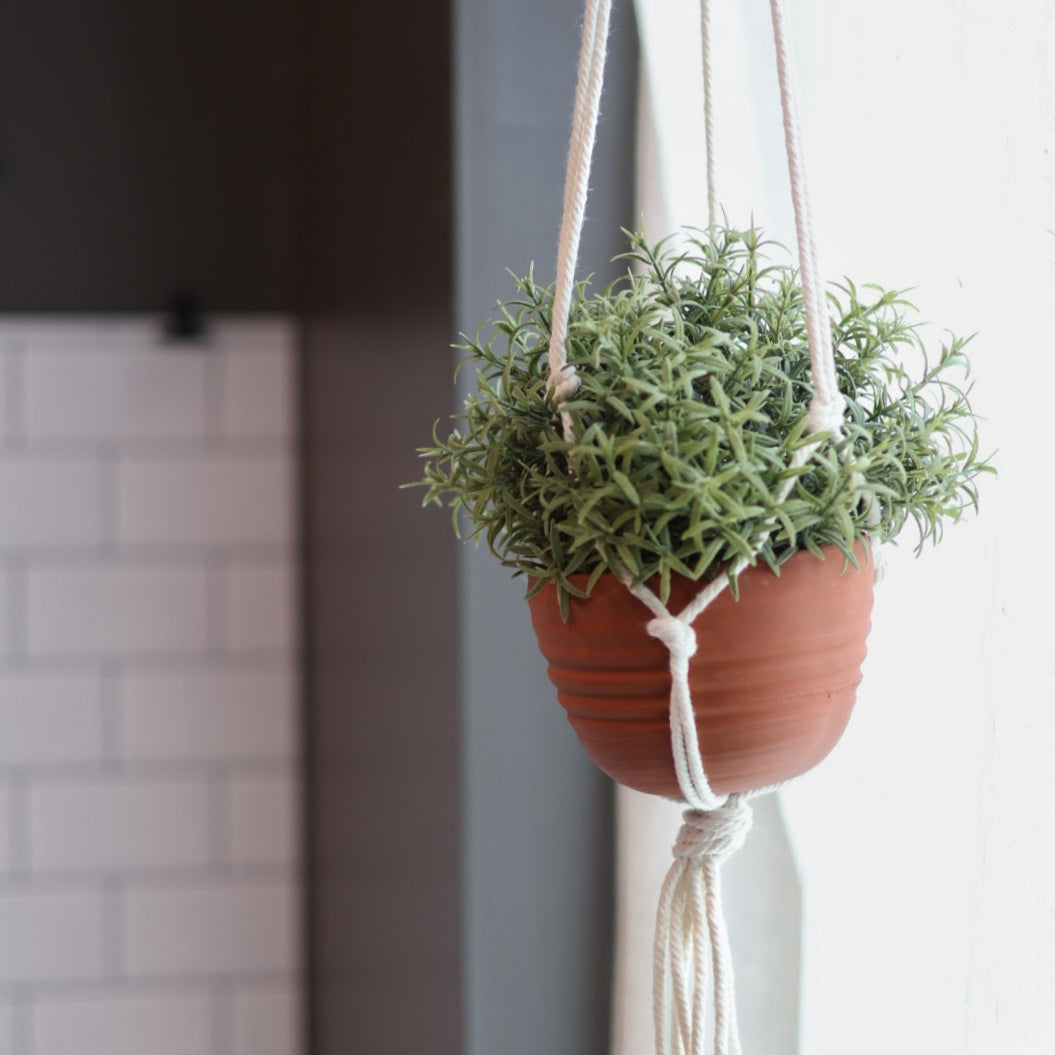 Large Hanging Planter in Limited Edition Red Clay