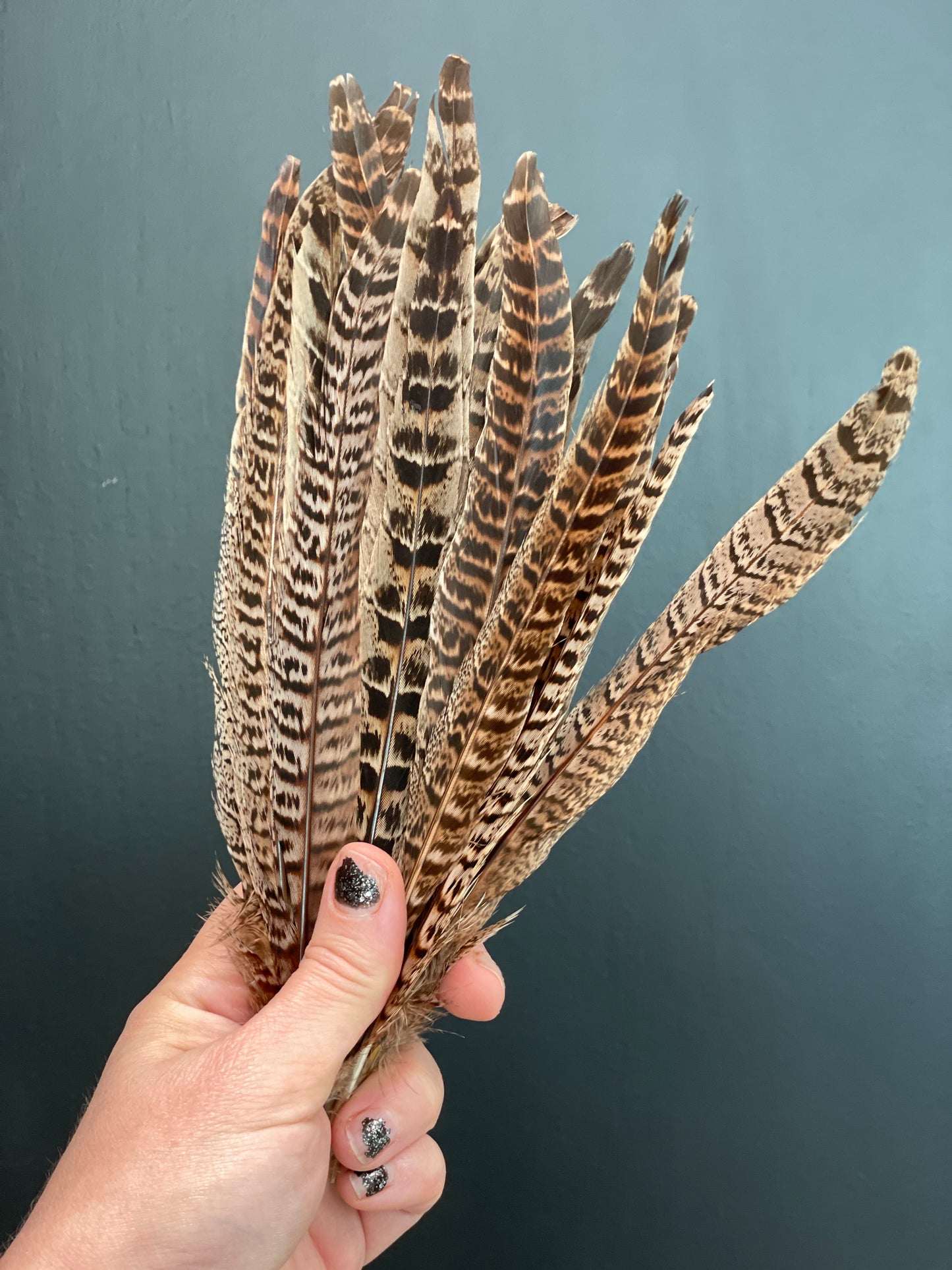 
                  
                    Pheasant Feathers
                  
                