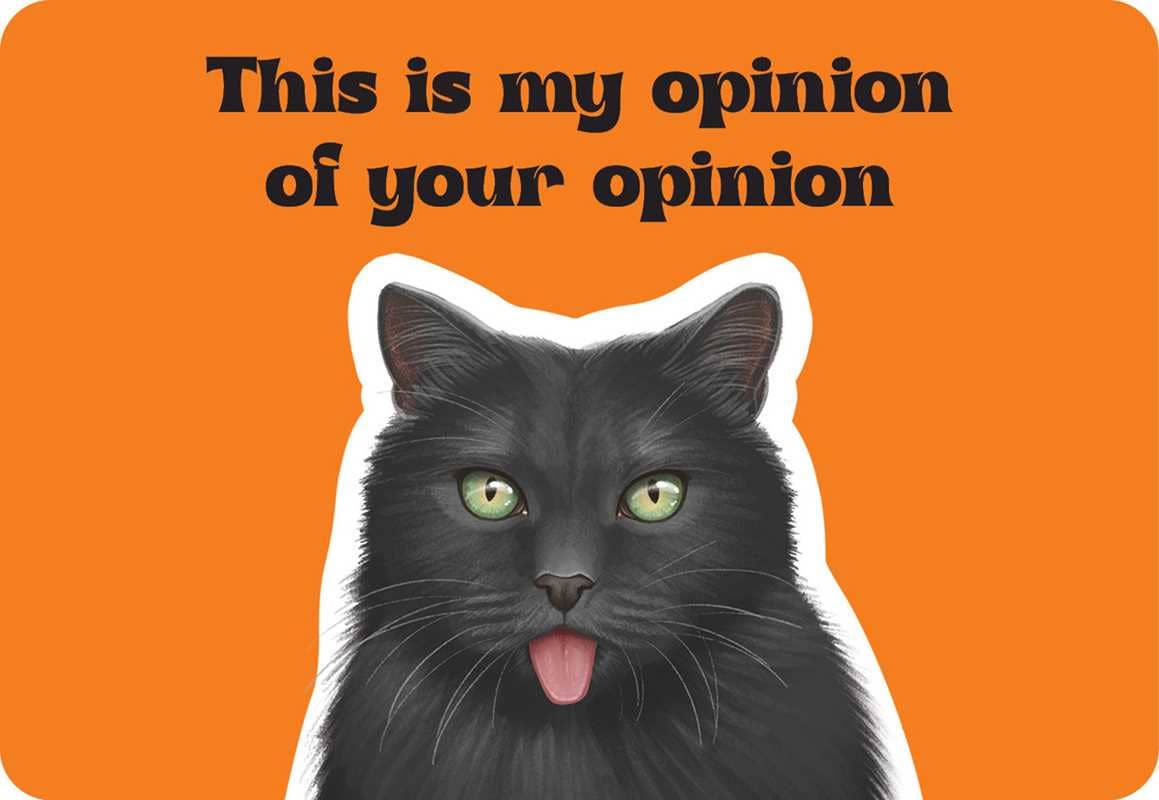 Cattitude by Rockpool  Publishing: Flashcards; 24 pages / English