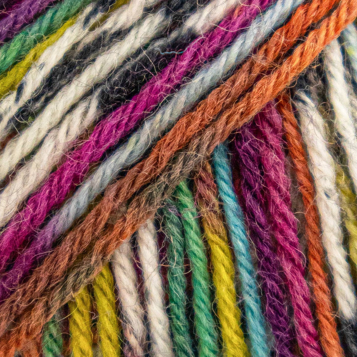 Luca-S WoolenWalk Yarn in 5 Color Options