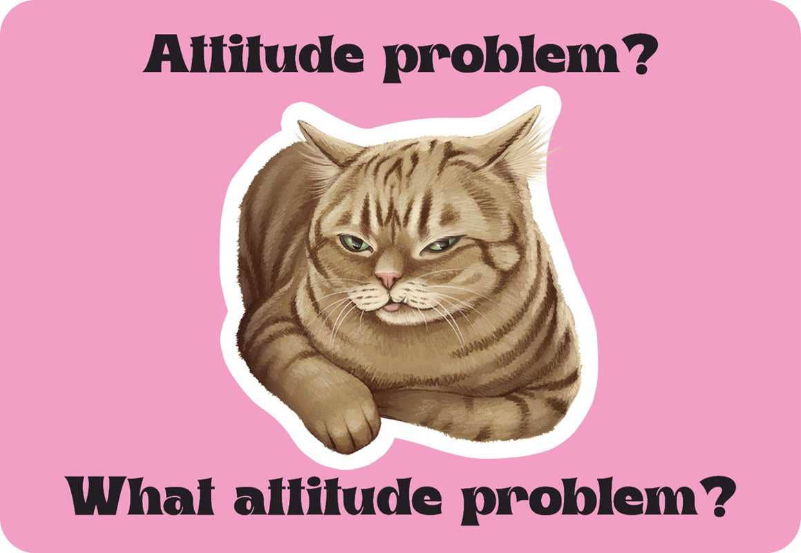 Cattitude by Rockpool  Publishing: Flashcards; 24 pages / English