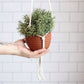 Large Hanging Planter in Limited Edition Red Clay