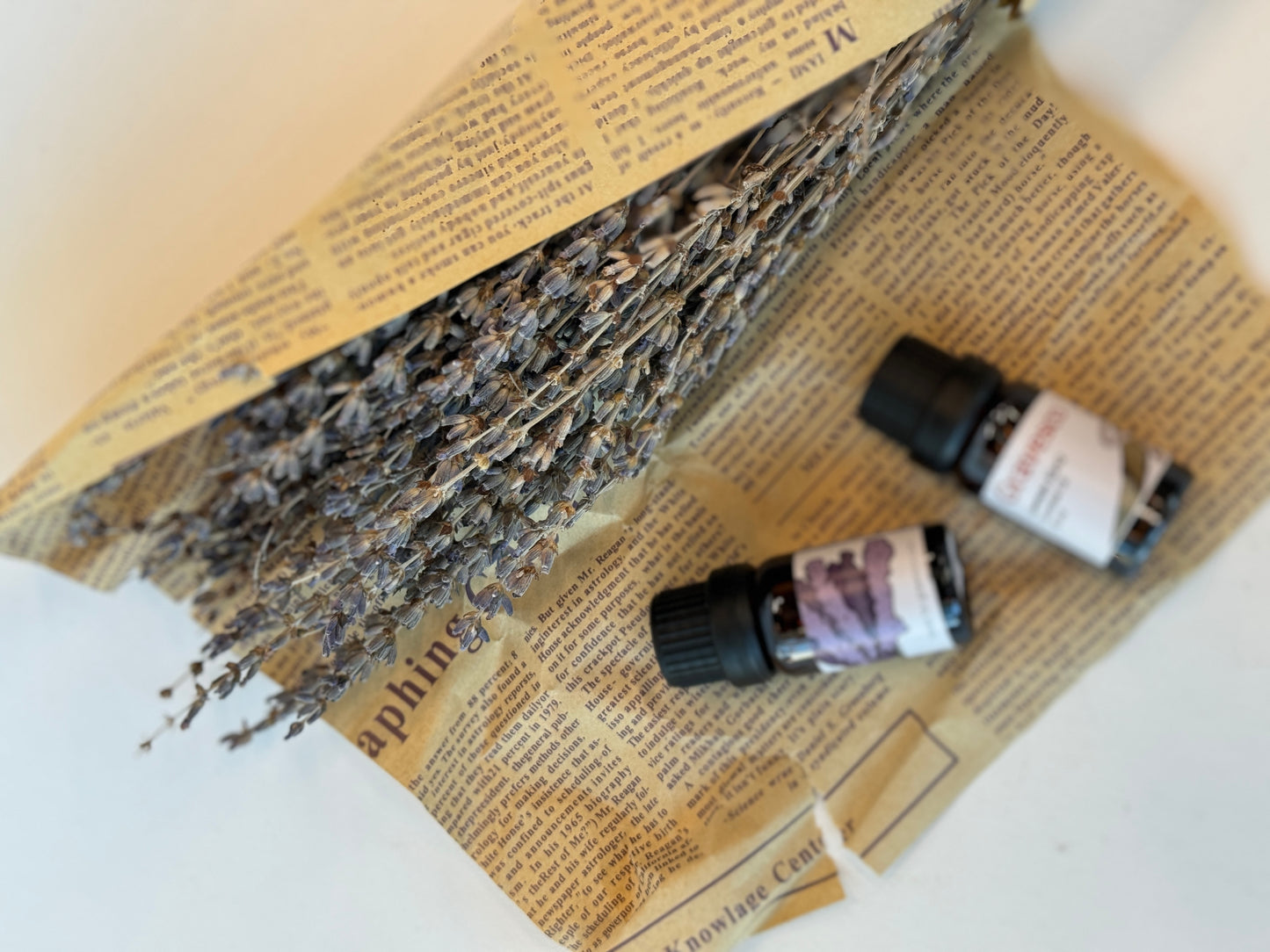 
                  
                    Essential Oil | Lavender 40/42 10ml
                  
                