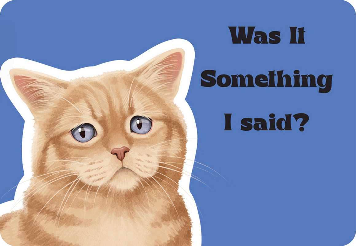 Cattitude by Rockpool  Publishing: Flashcards; 24 pages / English