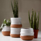 Artist Choice Small Planter in White