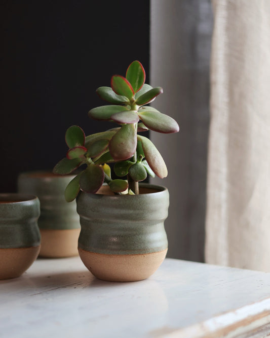 Artist Choice Small Planter in Sage Green