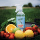 Fruit & Veggie Clean 16oz Spray