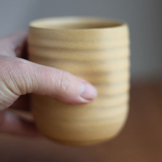 Hand holding a ceramic mug against a neutral background