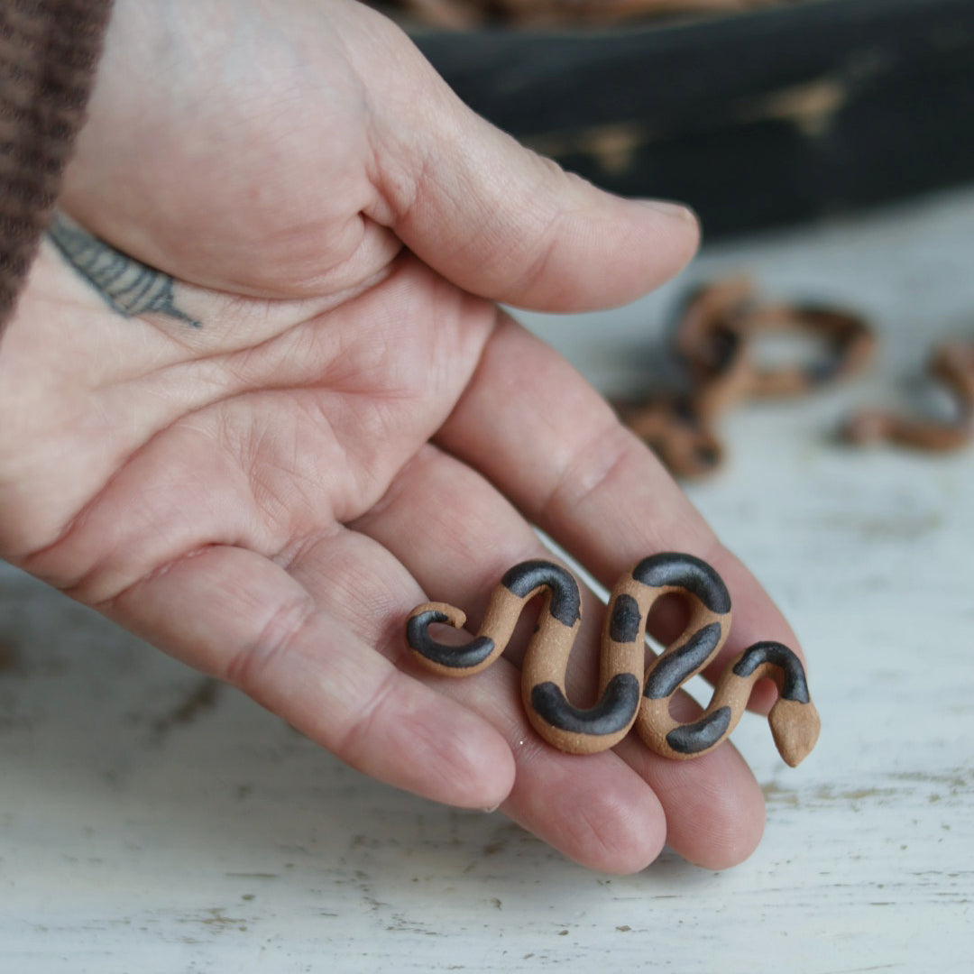 Tiny Desk Snake