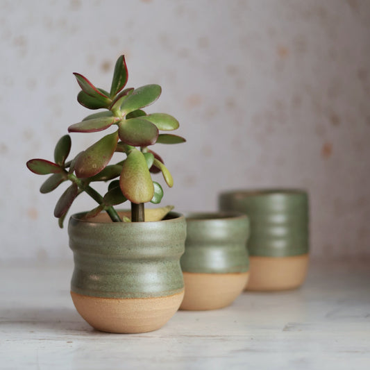 Artist Choice Small Planter in Sage Green