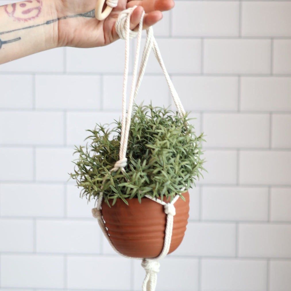 Large Hanging Planter in Limited Edition Red Clay