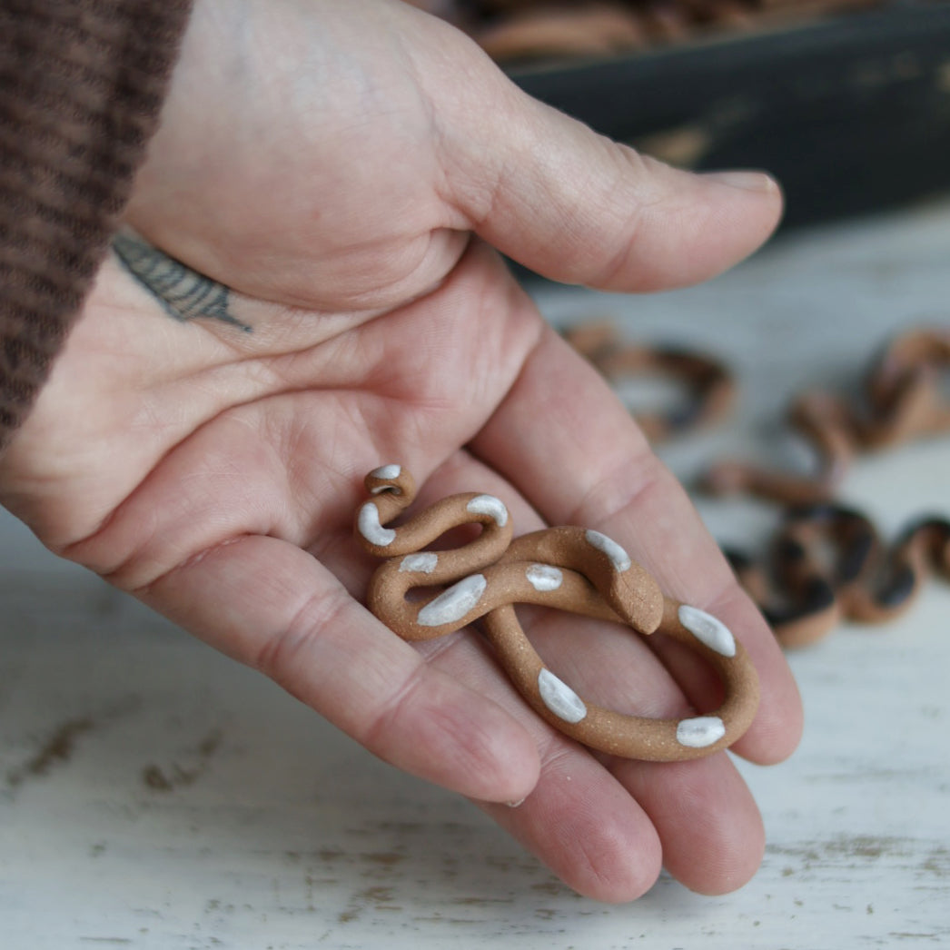 Tiny Desk Snake