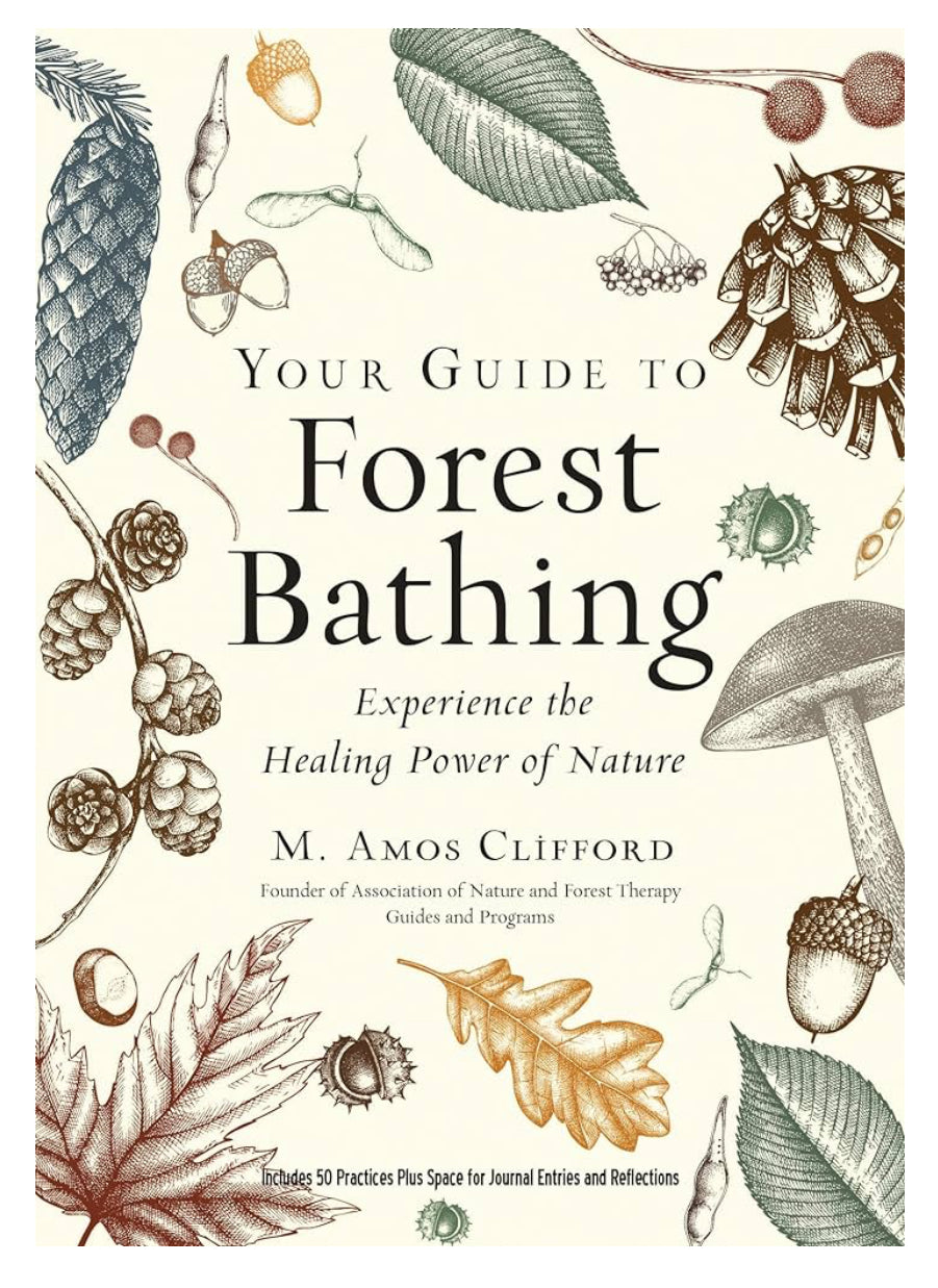 Your guide to forest bathing