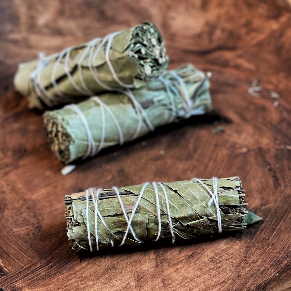
                  
                    Eucalyptus Smudge Bundles
                  
                