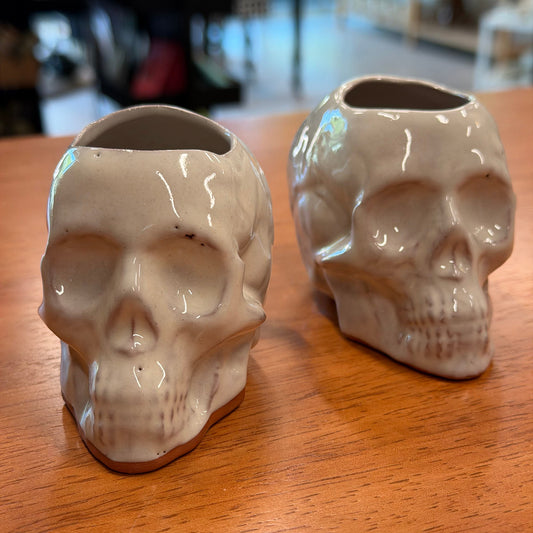 Small Slipcast Skull