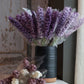 Mackenzie's Crocheted Lavender Bundle - Large