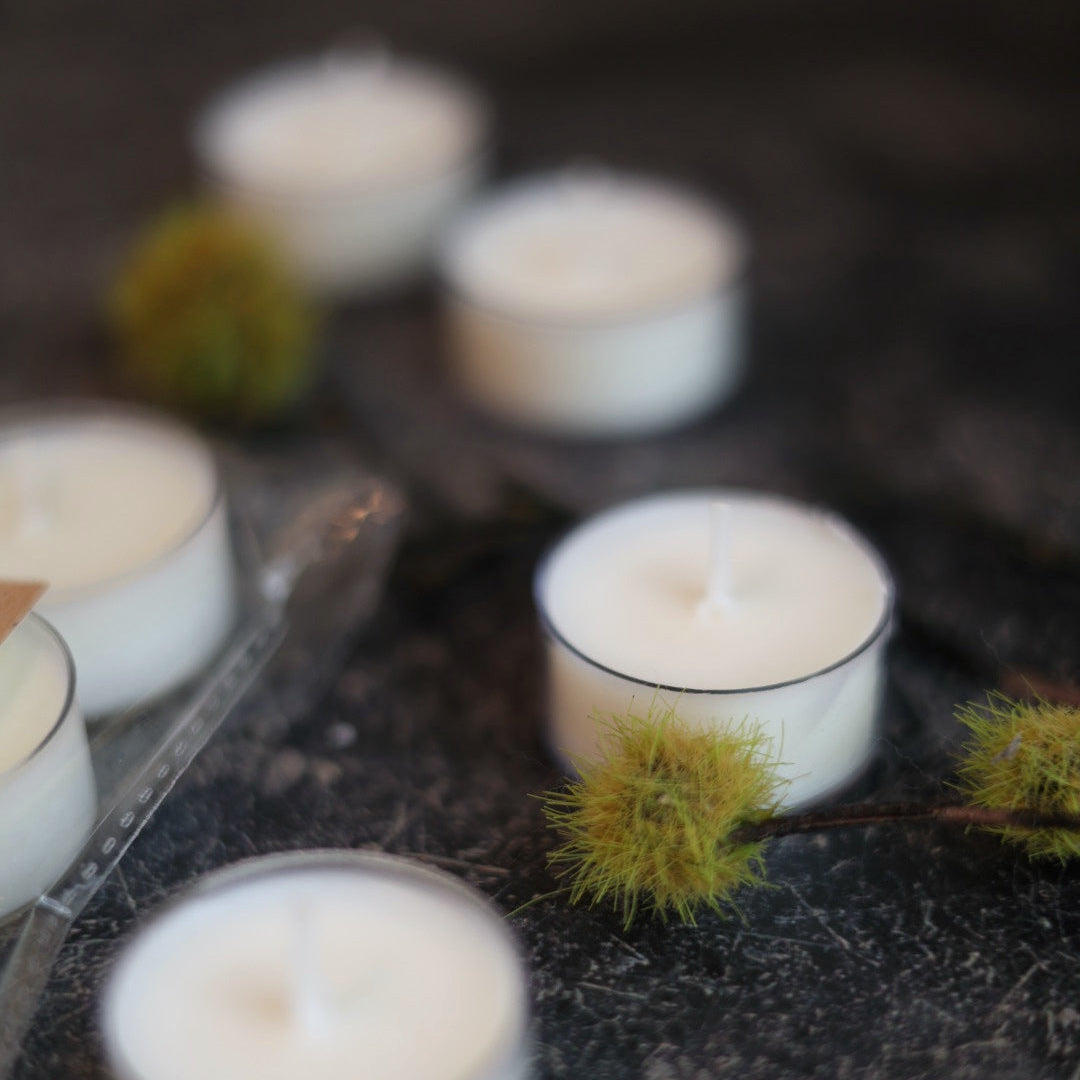 Tea lights on a dark surface with greenery