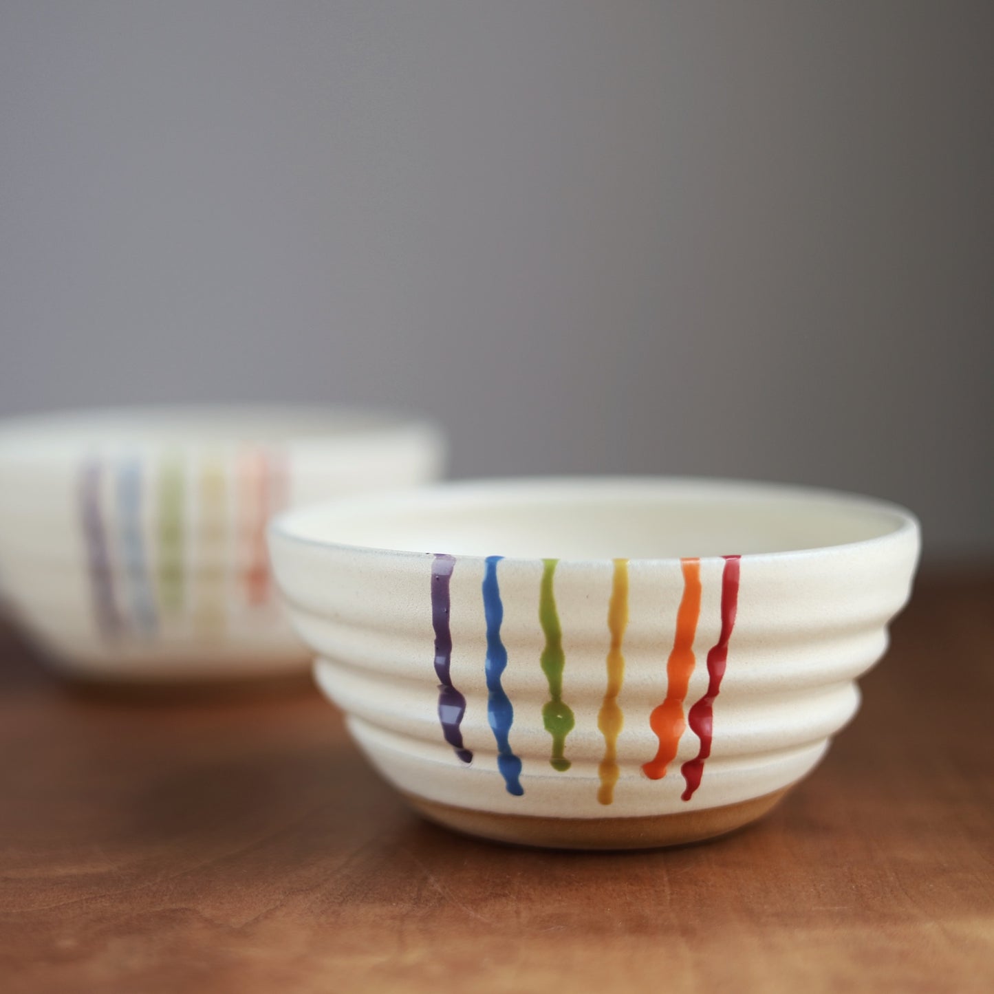 Rainbow Companion Bowl