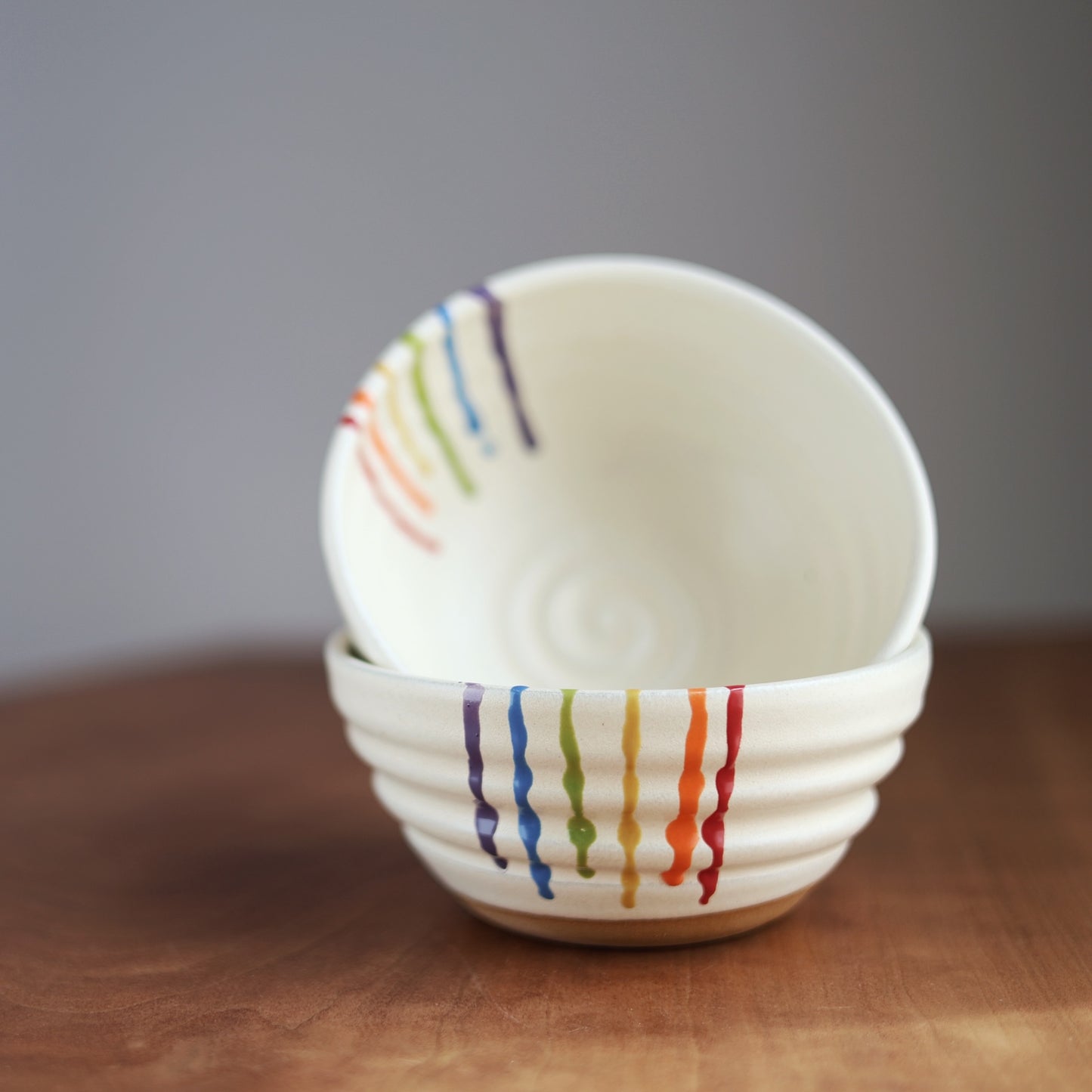 Rainbow Companion Bowl
