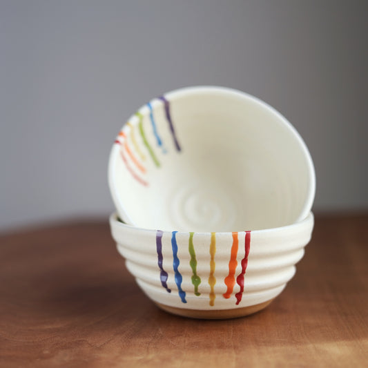 Rainbow Companion Bowl