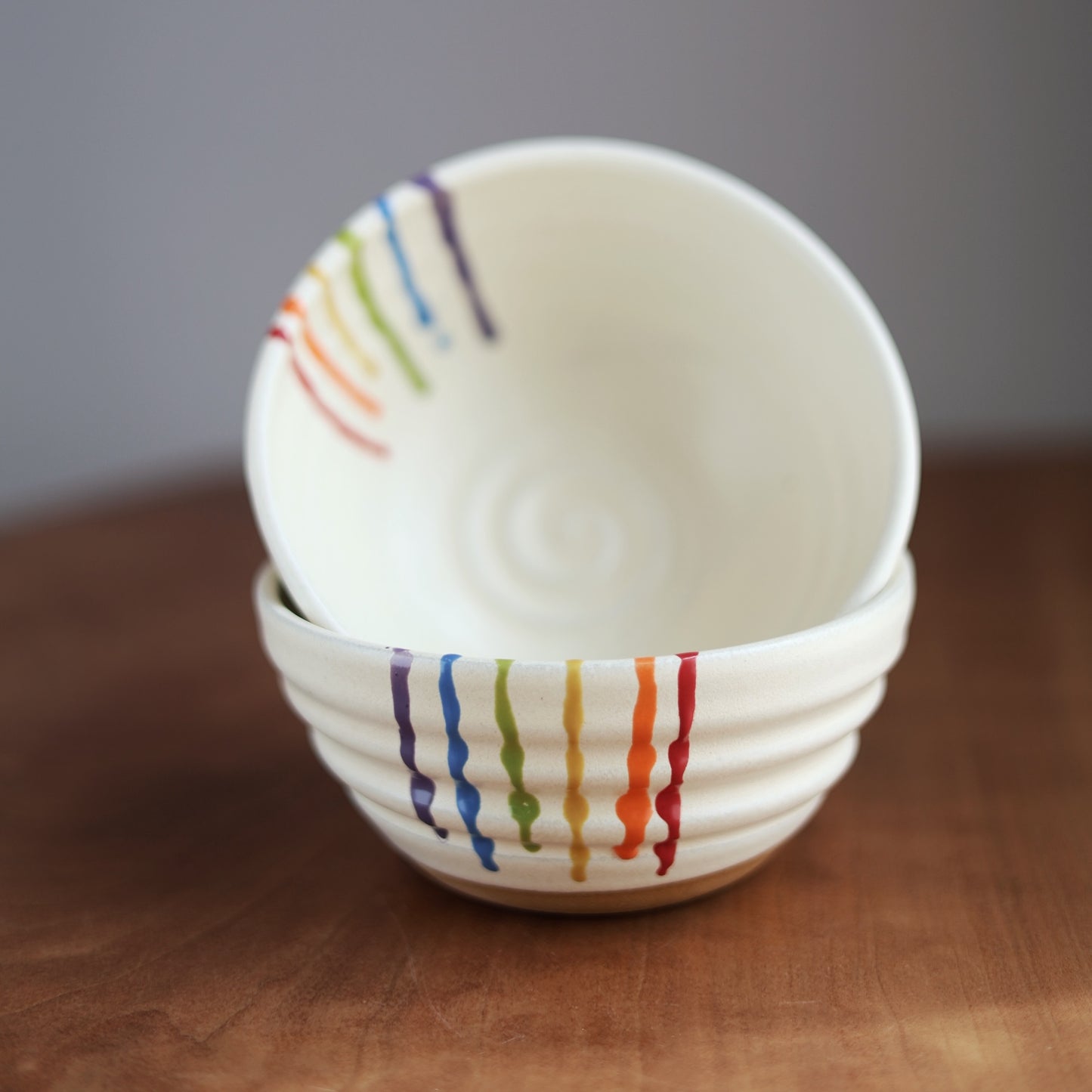 Rainbow Companion Bowl