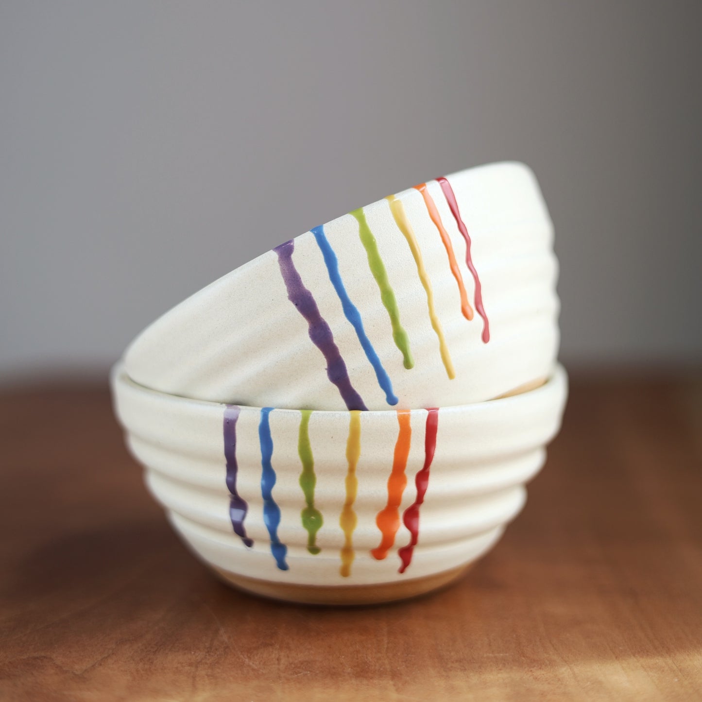 Rainbow Companion Bowl