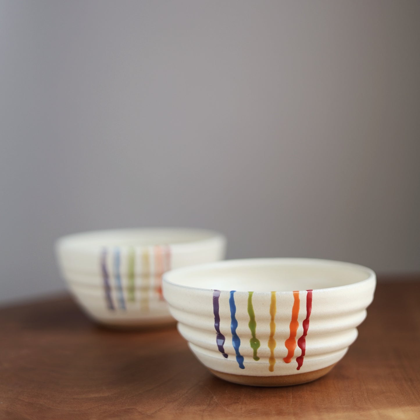 Rainbow Companion Bowl