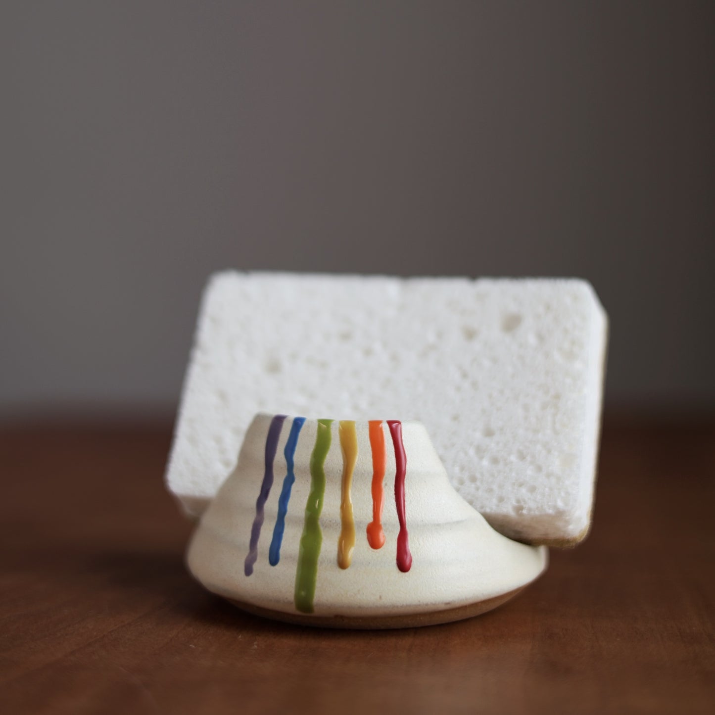 Rainbow Sponge Holder