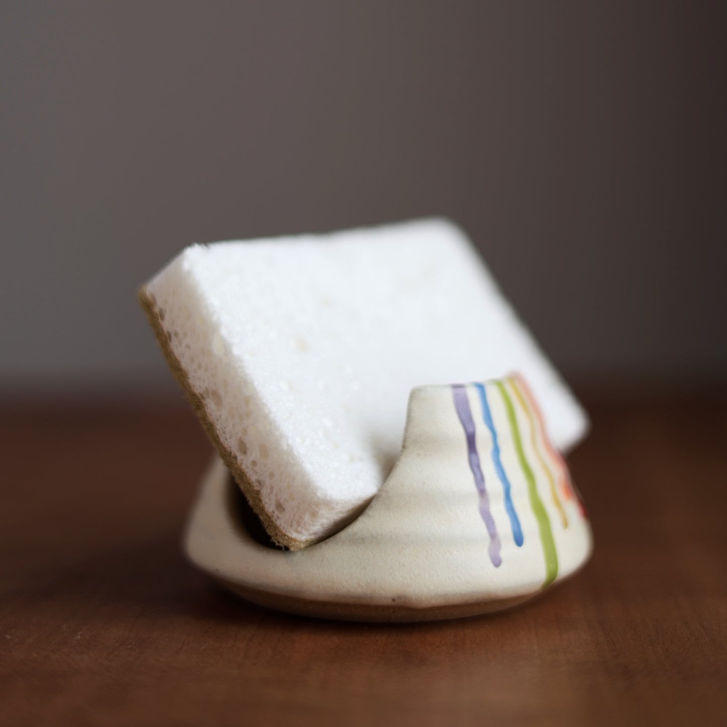 Rainbow Sponge Holder