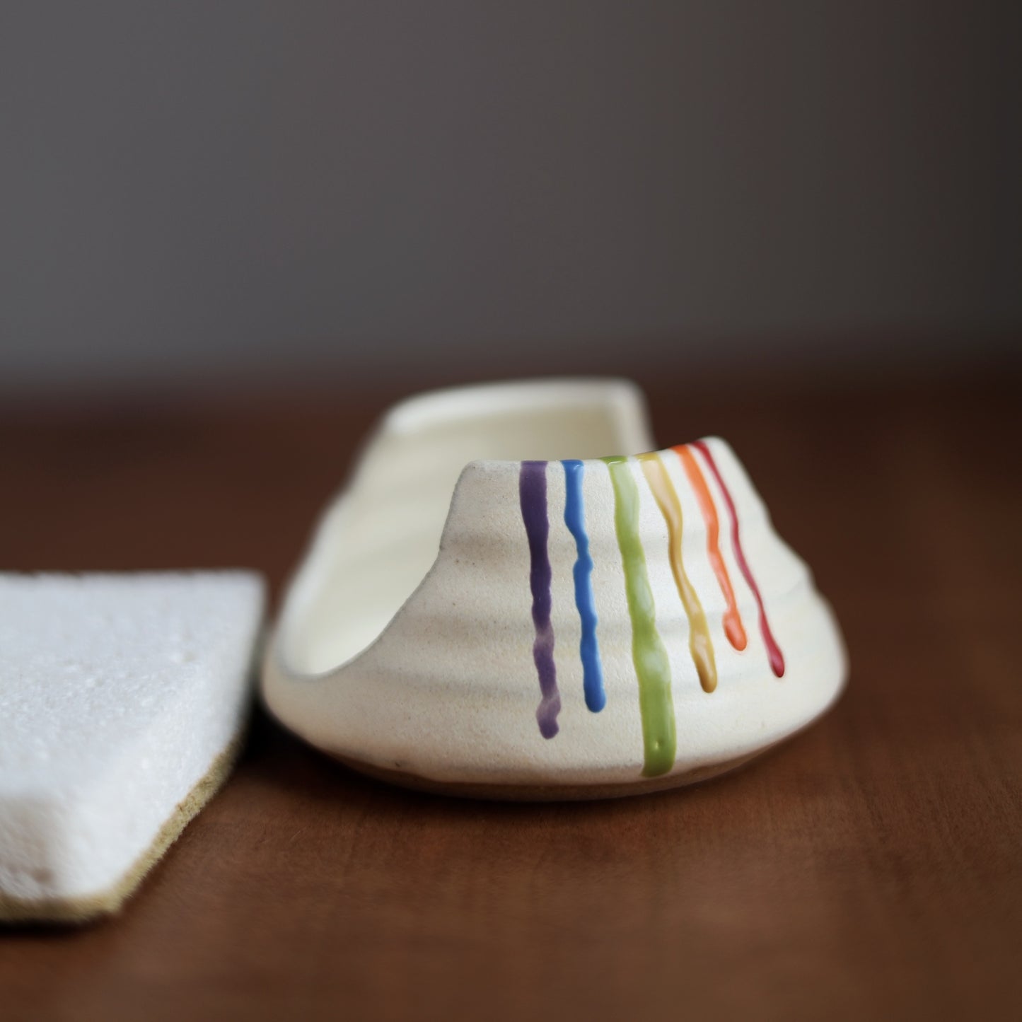 Rainbow Sponge Holder