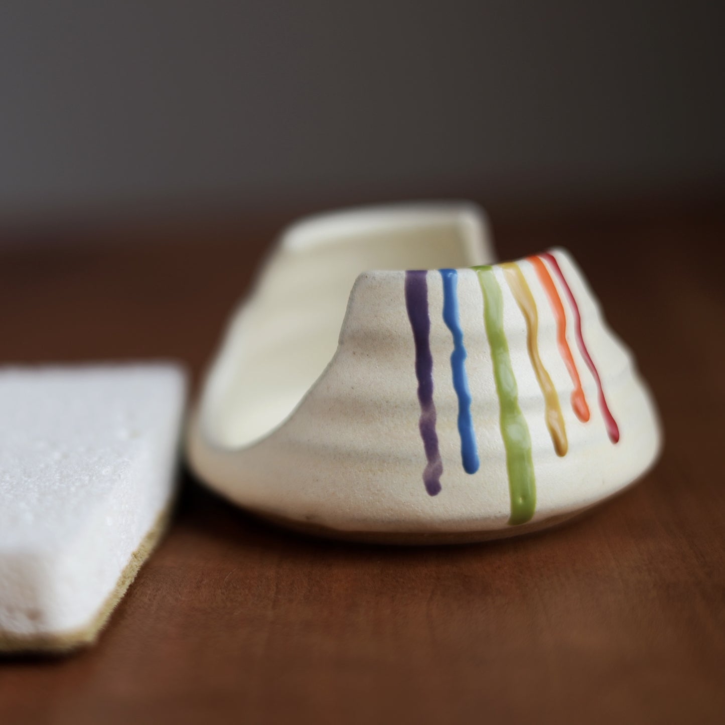 Rainbow Sponge Holder