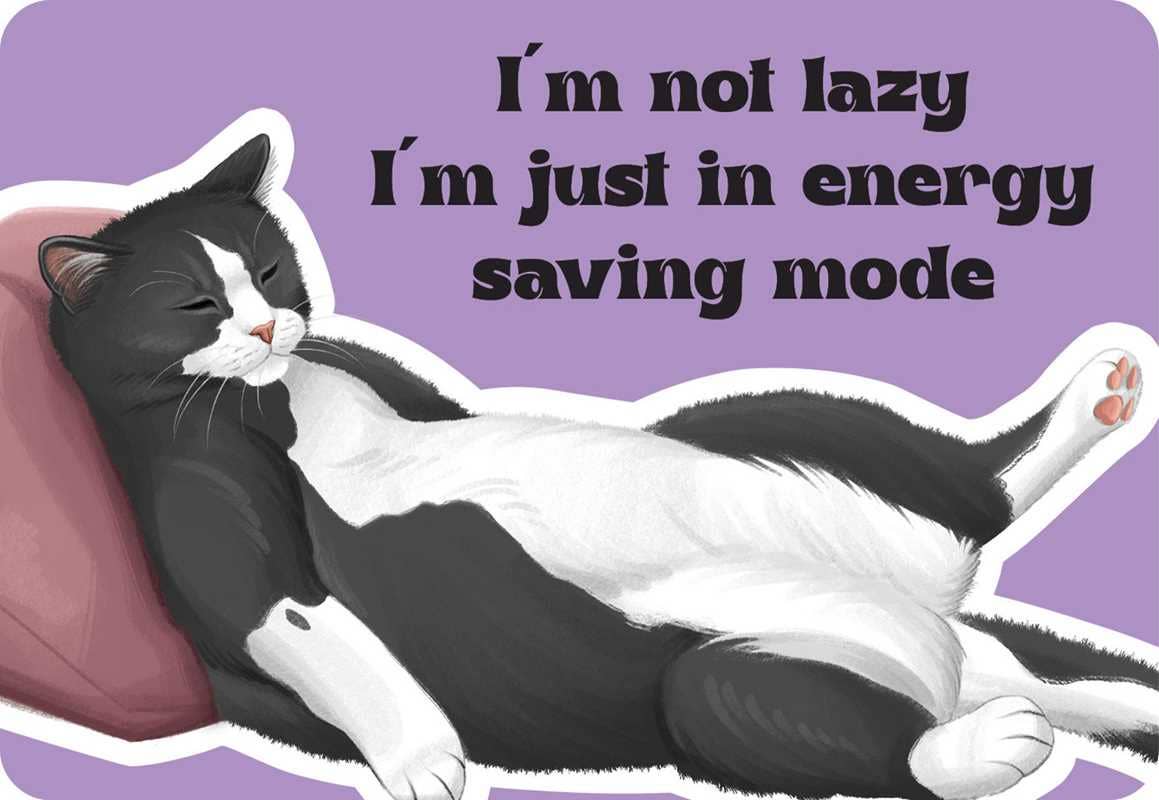 Cattitude by Rockpool  Publishing: Flashcards; 24 pages / English